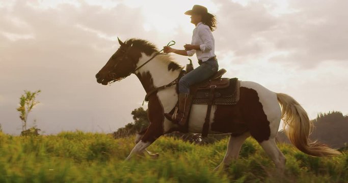 Amazing slow motion horseback riding at sunset, cowgirl riding brown and white horse fast through green fields, tracking shot