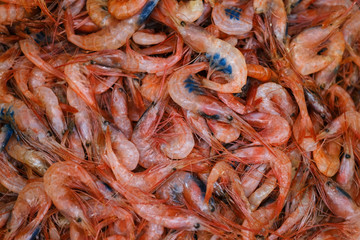 Many fresh boiled or steamed shrimps, seafood background