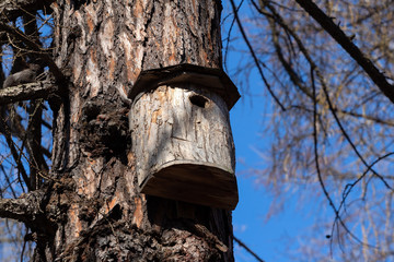 bird house