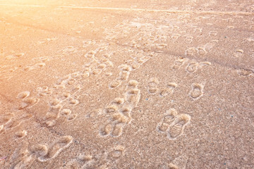 Many old footprints of people on coarse sand.