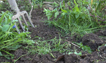 jardinage au printemps