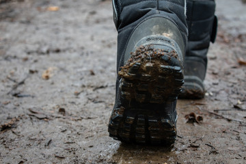 Fototapeta na wymiar women's dirty shoes in spring forest