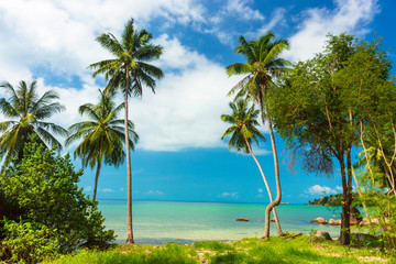 Naklejka premium Amazing view of Thailand beach with beautiful exotic palm trees,