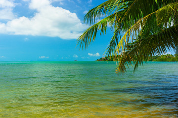 Fototapeta na wymiar Sunny tropical beach, turquoise Thailand sea with palm trees