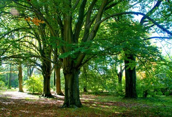 Serralves park in Oporto, Portugal