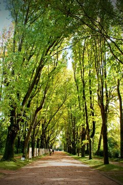 Serralves park in Oporto, Portugal
