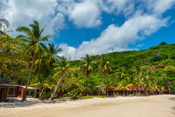 Fototapeta na wymiar Tropical island beach with white sand.