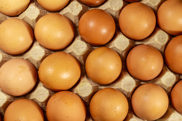 Raw chicken eggs in cardboard egg box close-up