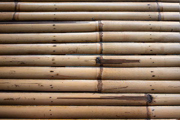 Old bamboo texture with natural patterns.