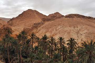 Fototapeta na wymiar Sahara Desert. Landscape of the Tunisian desert.