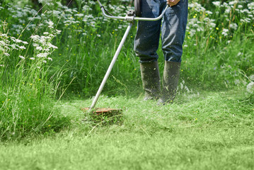 European man is mowing the lawn on his countryside plot.