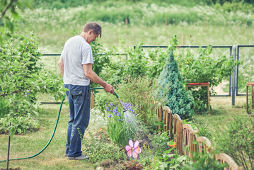 European man is watering plants in the garden, he is using garden hose.