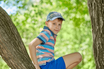 The portrait of a cute smiling boy on the tree, he is enjoying his summer vacations.