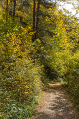 Autumn view of Ecotrail Struilitsa and Devin River gorge, Rhodope Mountains, Bulgaria
