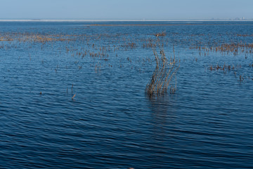 Fototapeta premium seascape calm on the sea on a Sunny spring day.beautiful natural background
