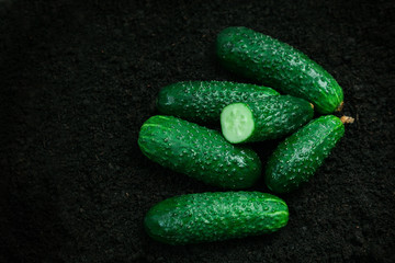 vegetable cucumbers ground black background ripe mature green greens several