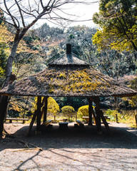 Pavilion at Yoyogi Park in Tokyo, Japan