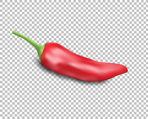Red hot natural chili pepper pod realistic image with shadow vector illustration.