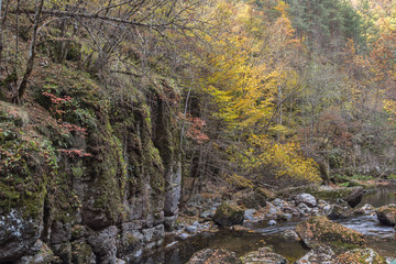 Amazing view of Devin river gorge, Rhodope Mountains, Bulgaria