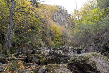 Amazing view of Devin river gorge, Rhodope Mountains, Bulgaria