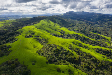 A wet winter has caused lush growth in the East Bay hills of Northern California.