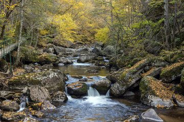 Amazing view of Devin river gorge, Rhodope Mountains, Bulgaria