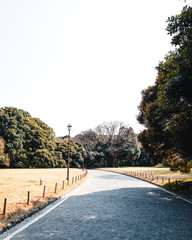 Sidewalk at Yoyogi Park in Tokyo, Japan