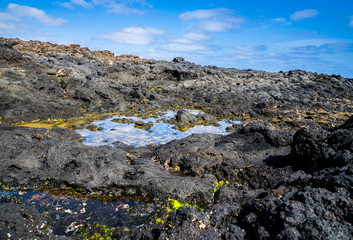 Spain, Lanzarote, Saltwater basins in rough black volcanic lava rock nature landscape at north coast