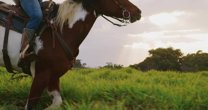 Slow motion horseback riding at sunset, powerful fast horse galloping with cowgirl in green field, ranch lifestyle