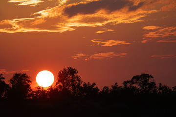 Sonnenuntergang Krüger Park / Sundown Kruger Park /