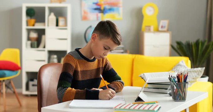 Portrait shot of the schoolboy writing exercise in the copybook as doing his homework at home.