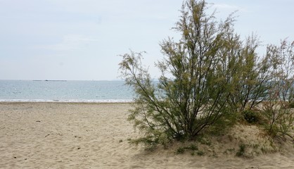 Vistas a un paisaje maritimo nublado