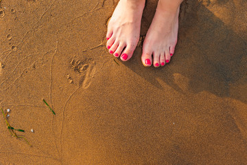 Low section view of a young woman legs standing on sand on the b