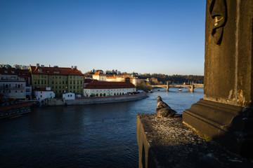 Obsession with the last rays of the sun