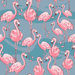Obraz premium Pink flamingo. Cute African bird. Seamless vector pattern. Tropical gentle background for surface, textile, fabric for kids. hand drawn brush texture. blue background