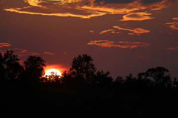 Sonnenuntergang Krüger Park / Sundown Kruger Park /