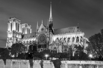 Notre Dame cathedral at night, Paris, France (monchrome version)