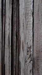 Fototapeta premium Textur Holzstruktur Baum