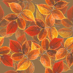 Yellow-red autumn leaves with transparent elements on brown background