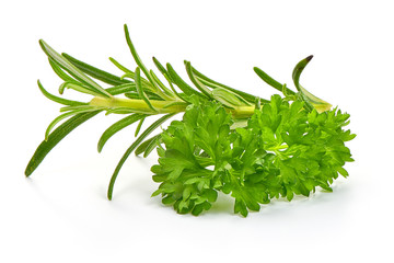 Fresh Parsley herb with rosemary, healthy food, close-up, isolated on white background