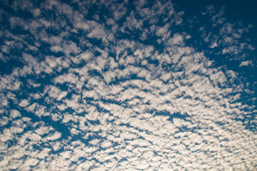 Obraz premium little white torn clouds in the blue sky