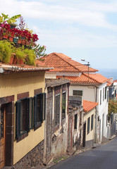 old traditional houses on a downhill street in funchal madeira with orange roof tiles and shuttered windows with colorful potted plants on the roof and the sea visible in the distance