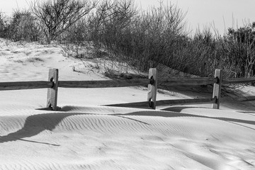 Assateague Island Sand Dune with Split Rail Fence