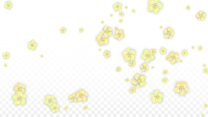 Vector Realistic Yellow Flowers Falling on Transparent Background.  Spring Romantic Flowers Illustration. Flying Petals. Sakura Spa Design. Blossom Confetti. Design Elements for Wedding Decoration.