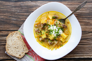 Traditional sauerkraut soup, shchi in a plate