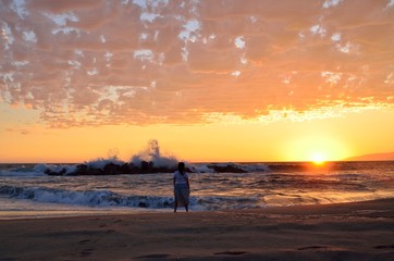 Fototapeta premium golden sunset at venice beach California