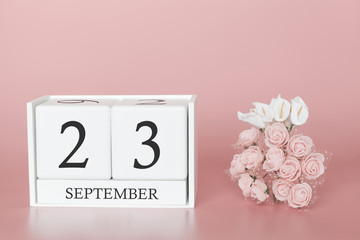 September 23rd. Day 23 of month. Calendar cube on modern pink background, concept of bussines and an importent event.