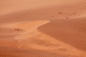 Shapes of the desert sand