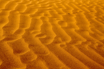 Shapes of the desert sand