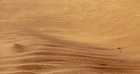 Shapes of the desert sand
